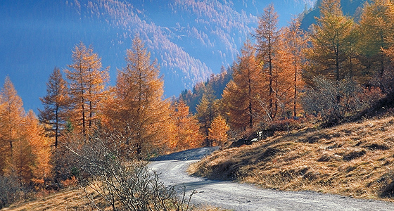 Herbst in Osttirol