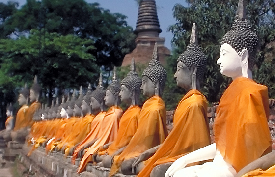 Ayutthaya - Tempelanlage