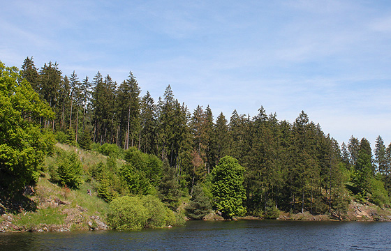 Kamptalstausee - Waldviertel: Erholungsgebiet, N&Ouml;