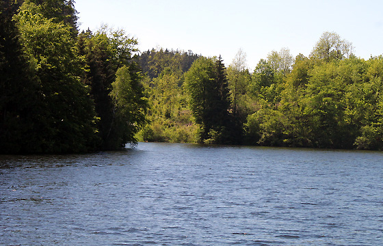 Waldviertel / Kamptal: Erholungsgebiet Kamptalstausee