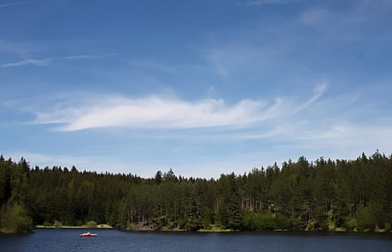 Waldviertel / N&Ouml;: Wald .... W&auml;lder ... Natur. Erholungsgebiet!