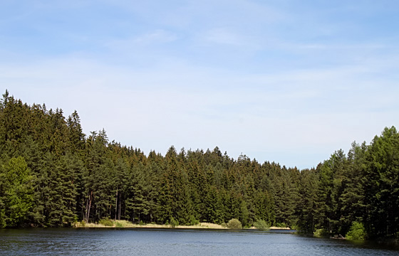 Erholung im Waldviertel: Kamptalstausee. Naturschutzgebiet!
