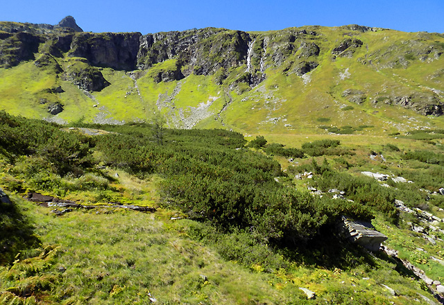 Wei&szlig;see Gletscherwelt - Latschenkiefer - Vegetation, felsformationen