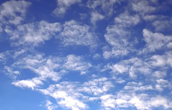 Wolken: Wolkenbildung im Anfangsstadium